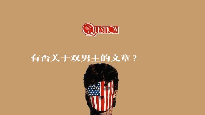 有否关于双男主的文章?
