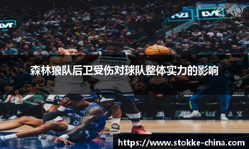 纳米体育官网