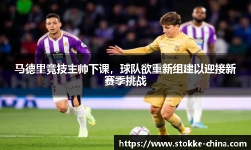 纳米体育APP