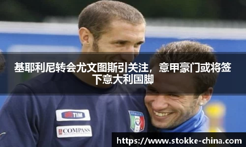 纳米体育官网