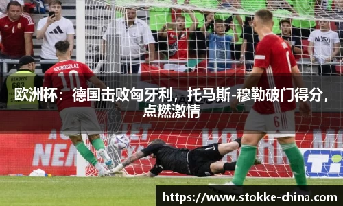 纳米体育注册