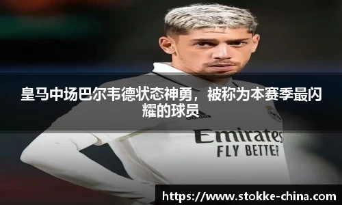 纳米体育注册