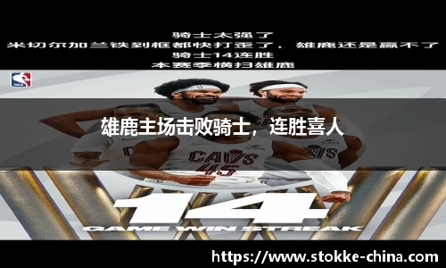 纳米体育官网