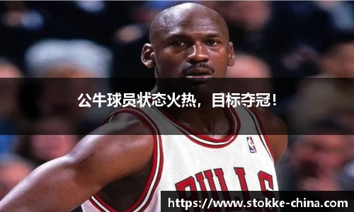 纳米体育网址