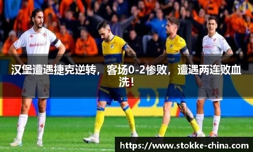 纳米体育网址