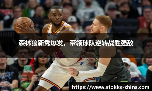 纳米体育网址