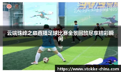 纳米体育网址