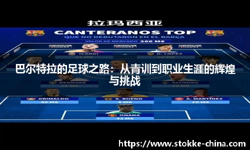 纳米体育网址