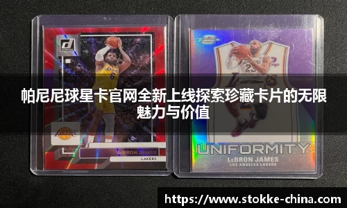 纳米体育网址