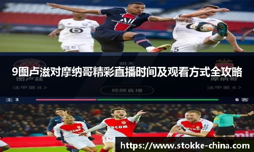 纳米体育网址