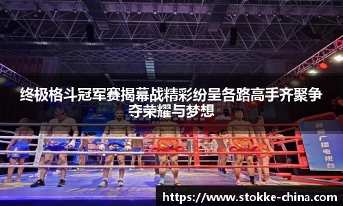 纳米体育网址